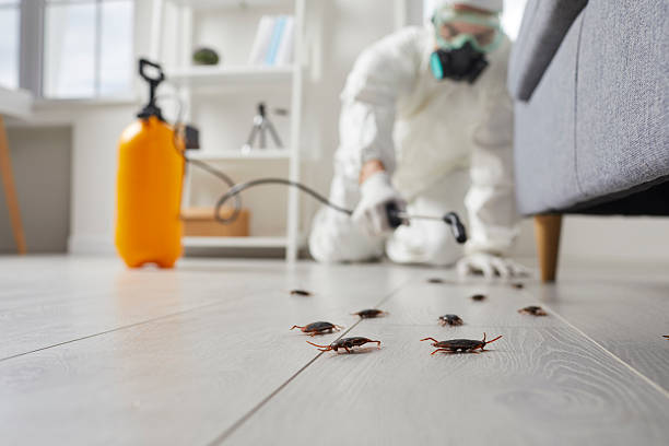 Post-Treatment Bed Bug Interceptor Monitoring in Gary