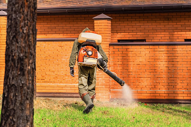 Bed Bug Clearance Verification and Documentation in Gary